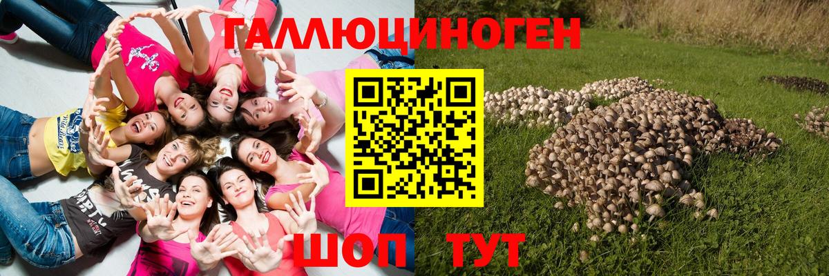 Галлюциногенные грибы Psilocybine cubensis  Галлюциногенные грибы GOLDEN TEACHER  купить закладку  Челябинск  Вход с VPN 